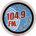 Rádio Capivara 104.9 FM