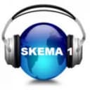 Skema 1