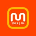 Rádio Musical 100.9 FM