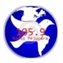 Rádio Pejuçara 105.9 FM