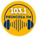 Rádio Princesa 103.1 FM